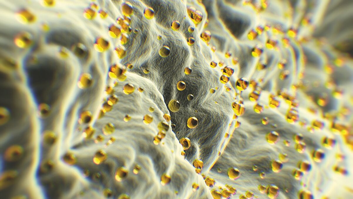 Svepelektronmikroskopisk bild av emulgerade oljedroppar i en gelmatris